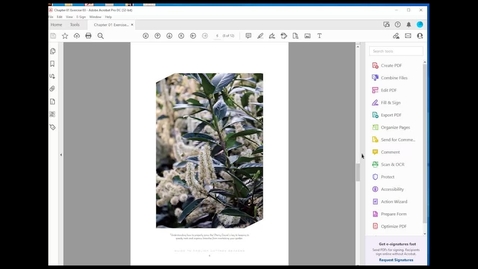 Thumbnail for Hyperlinked Images in Accessible PDFs - Formatting Techniques