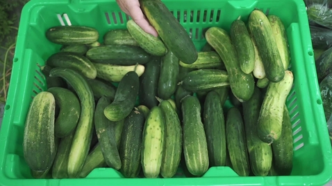 Thumbnail for Union Snyder Community Action Agency- Food Hub