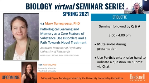Thumbnail for Biology Seminar Series Spring 2021: 4.2 Mary Torregrossa memory + addiction