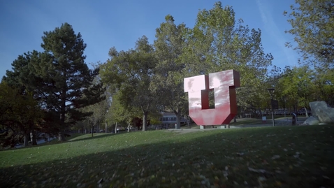 Thumbnail for University of Utah - Developing Digital Skills through Adobe Creative Cloud