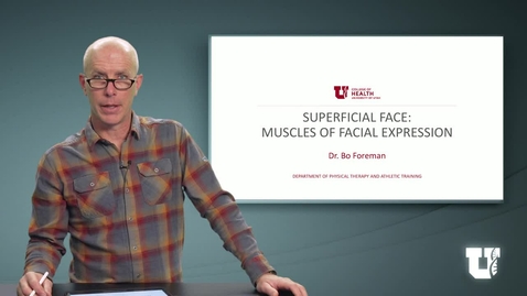 Thumbnail for PH TH 6040: M6.2.A. Superficial Face: Muscles of Facial Expression
