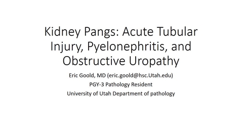 Thumbnail for entry ATI, Pyelo, and Obstructive Uropathy