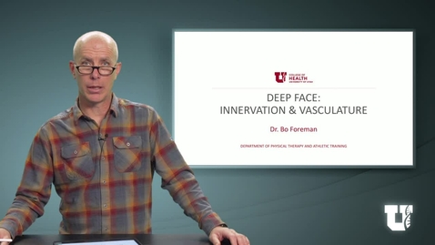 Thumbnail for entry PH TH 6040: M6.3.B. Deep Face: Innervation and Vasculature