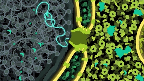 Thumbnail for Genetic Science Learning Center