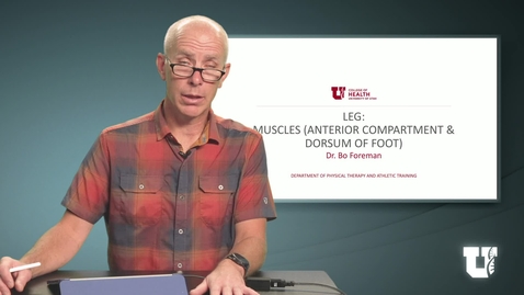 Thumbnail for PHTH 6040: M4.4.B. Leg: Muscles (Anterior Compartment and Dorsum of Foot)