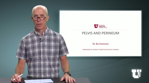 Thumbnail for PH TH 6040: M2.6. Pelvis and Perineum