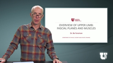 Thumbnail for PH TH 6040: M7.2.B. Overview of Upper Limb: Fascial Planes and Muscles