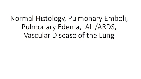 Thumbnail for Lung histology, Embili, Edema, ALI, Vascular part 2