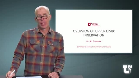 Thumbnail for PH TH 6040: M7.2.C. Overview of Upper Limb: Innervation (04-11-25)