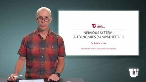 Thumbnail for PH TH 6040: M1.4.E Nervous System: Autonomic (Sympathetic II)