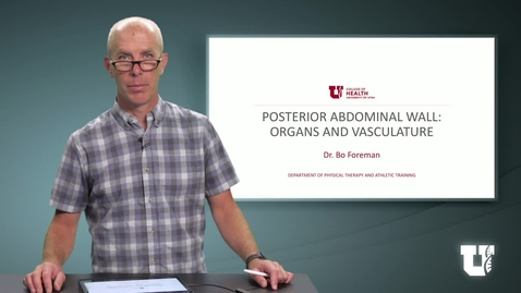 Thumbnail for entry PH TH 6040: M2.5.C. Posterior Abdominal Wall: Organs and Vasculature