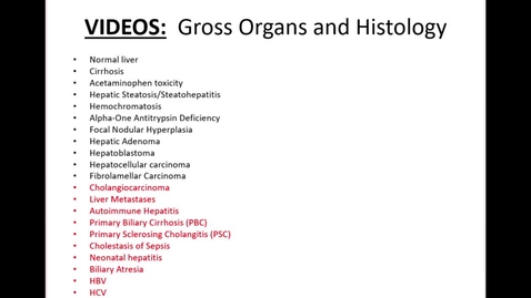 Thumbnail for M&amp;R Liver Video 2 