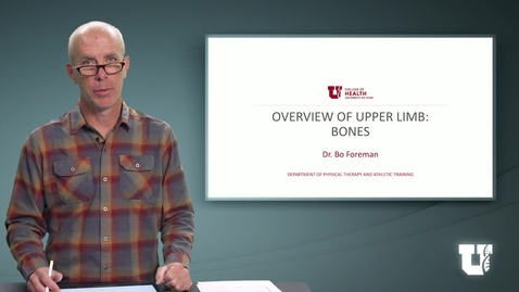 Thumbnail for PH TH 6040: M7.2.A. Overview of Upper Limb: Bones