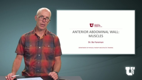 Thumbnail for PH TH 6040: M2.2.B. Anterior Abdominal Wall: Muscles