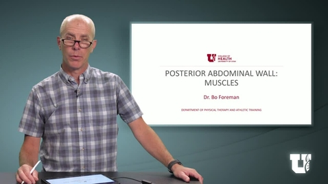 Thumbnail for PH TH 6040: M2.5.A. Posterior Abdominal Wall: Muscles