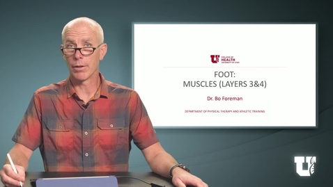 Thumbnail for PHTH 6040: M4.5.B. Foot: Muscles (Layer 3&amp;4)