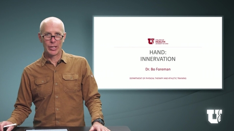 Thumbnail for PH TH 6040: M7.6.D. Hand: Innervation