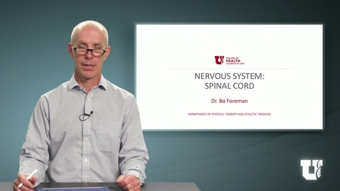 Thumbnail for PH TH 6040: M1.4.A. Nervous System (Spinal Cord)