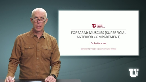Thumbnail for PH TH 6040: M7.5.A. Forearm: Muscles (Superficial Anterior Compartment)