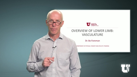 Thumbnail for PH TH 6040: M.4.1.E. Overview of Lower Limb: Vasculature