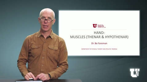 Thumbnail for PH TH 6040: M7.6.B. Hand: Muscles (Thenar and Hypothenar)