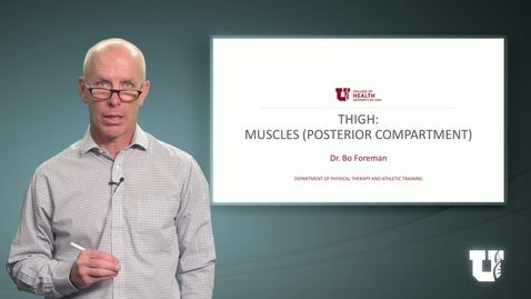 Thumbnail for PHTH 6040: M4.3.C. Thigh: Muscles (Posterior Compartment)