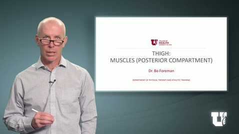 Thumbnail for entry PHTH 6040: M4.3.C. Thigh: Muscles (Posterior Compartment)