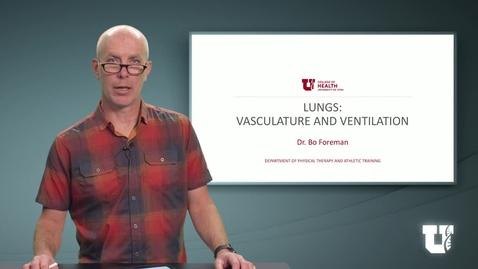 Thumbnail for entry PH TH 6040: M8.1.C. Lungs: Vasculature and Ventilation