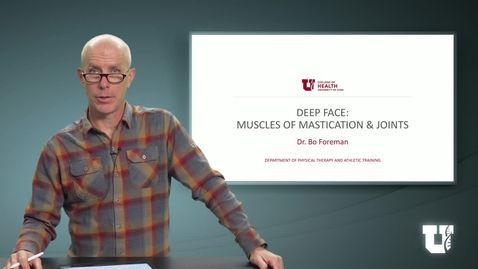 Thumbnail for PH TH 6040: M6.3.A. Deep Face:  Muscles of Mastication and Joints