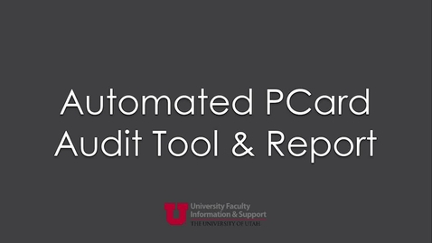 Thumbnail for Automated PCard Audit Tool &amp; Report