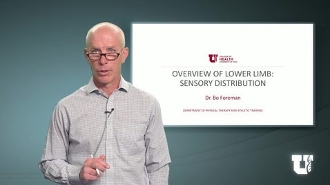 Thumbnail for PH TH 6040: M.4.1.D. Overview of Lower Limb: Sensory Distribution