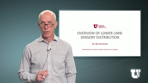 Thumbnail for entry PH TH 6040: M.4.1.D. Overview of Lower Limb: Sensory Distribution