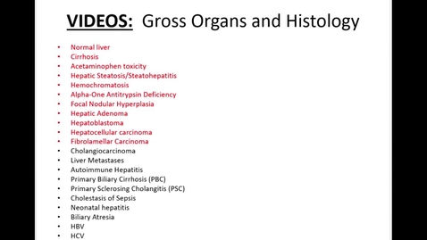 Thumbnail for M&amp;R  Liver Video 1 