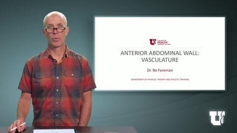 Thumbnail for PH TH 6040: M2.2.E. Anterior Abdominal Wall: Vasculature