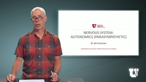 Thumbnail for PH TH 6040: M1.4.F. Nervous System: Autonomics (Parasympathetic)