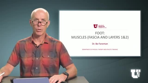 Thumbnail for PHTH 6040: M4.5.A. Foot: Muscles (Fascia and Layers 1&amp;2)