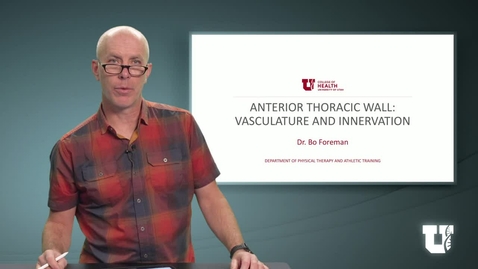 Thumbnail for entry PH TH 6040: M7.1.C. Anterior Thoracic Wall: Vasculature and Innervation