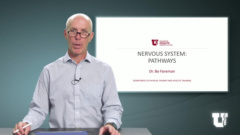 Thumbnail for PHTH 6040: M1.4.C: Nervous System: Pathways