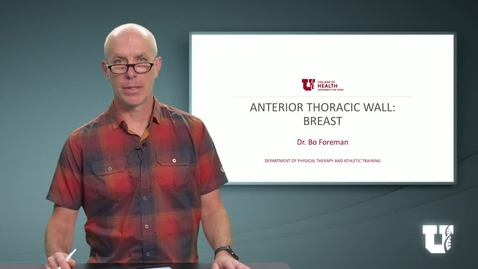 Thumbnail for PH TH 6040: M7.1.A. Anterior Thoracic Wall: Breast