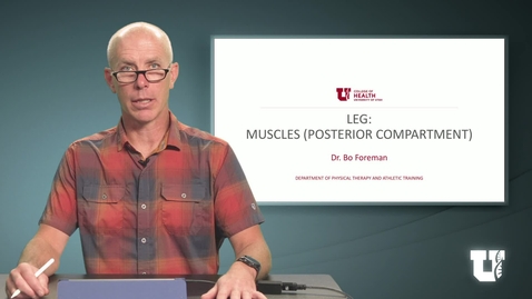 Thumbnail for PHTH 6040: M4.4.C. Leg: Muscles (Posterior Compartment)