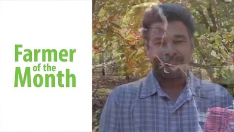 Thumbnail for FOTM - Apples (CHC)