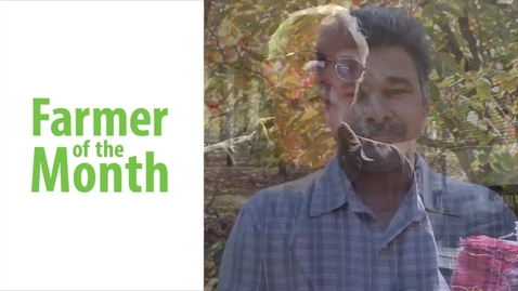 Thumbnail for FOTM - Mandarins (CHC)