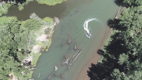 Thumbnail for STEM Connections - Salmon Research