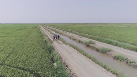 Thumbnail for STEM Connections - Seed Germination Project