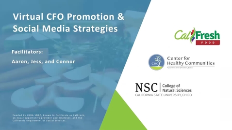 Thumbnail for Virtual CFO Promotion &amp; Social Media Strategies Webinar 
