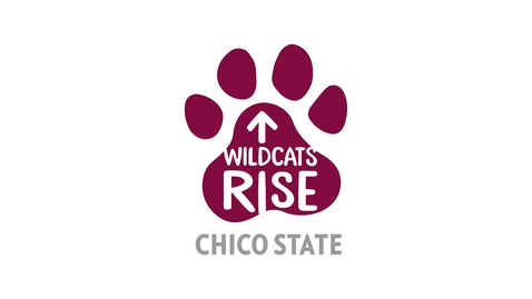 Thumbnail for Camp Fire - Wildcats Rise