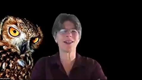 Thumbnail for Go Virtual2 - Day2 - Intro, Mindfulness moment, fun raffle