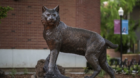 Thumbnail for Chico State Logo