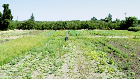 Thumbnail for STEM 2023 - Agriculture