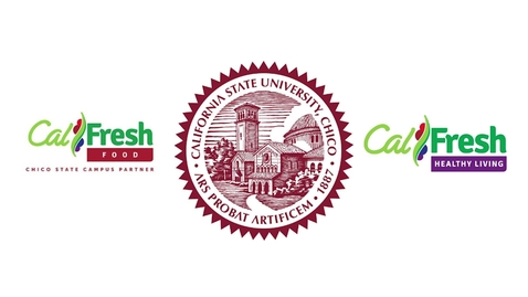 Thumbnail for CFO CF 101 Burrito Bowl